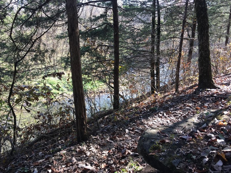 Looking toward a small body of water a few yards from the trail.