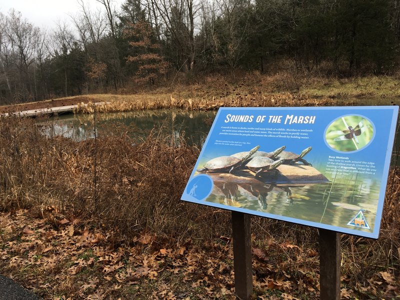 Informative signage in front of a pond.