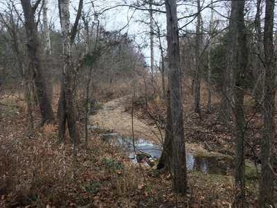 A small creek slightly off trail.