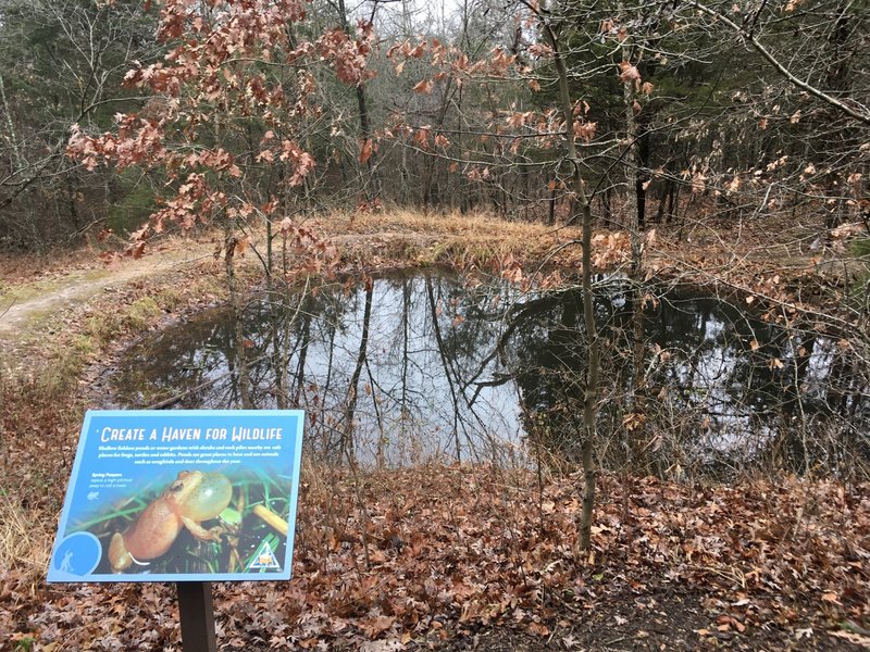 Informative signs and a tiny pond.