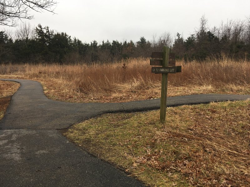 Back to the crossroads!  This is the end of Bluestream Ridge.  Go straight from here to get to the parking lot.  You can also go right and you'll be on Raccoon Run.