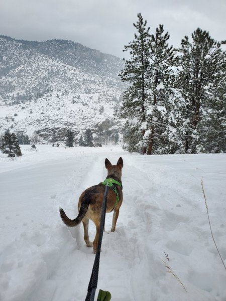 Winter hiking/snowshoeing! 11/29/19