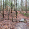 Footbridge over Plummer Branch on the Beaver-Rock Trail.