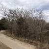 The paved loop along the creek