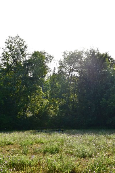 Lamoreaux Park" courtesy of Kent County Parks Department.