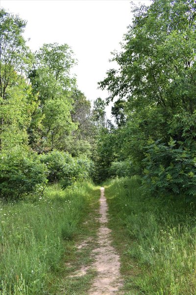 Seidman Park" courtesy of Kent County Parks Department.