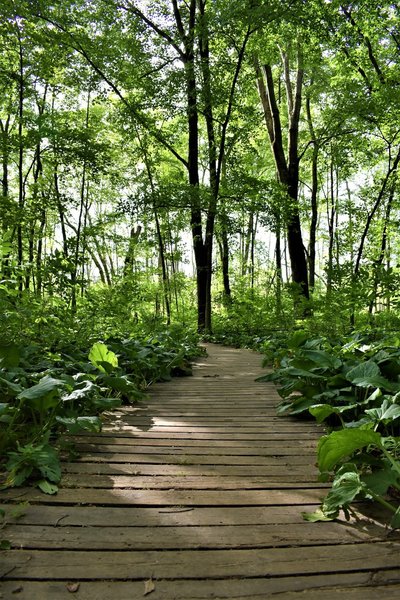 Seidman Park" courtesy of Kent County Parks Department.