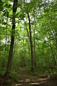 Seidman Park" courtesy of Kent County Parks Department.