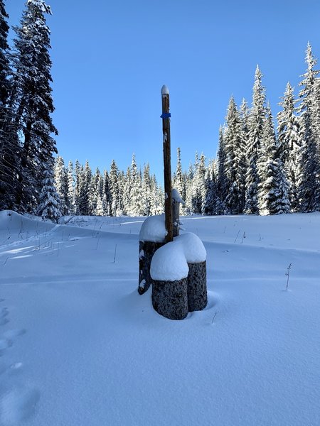 Fresh snowfall on our new trail marker