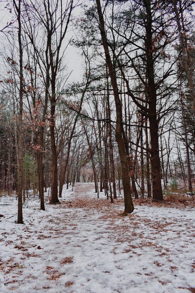 Provin Trails Park" courtesy of Kent County Parks Department.