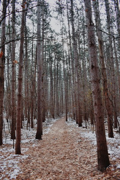 Provin Trails Park" courtesy of Kent County Parks Department.