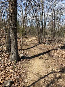 The beginning of the trail is very simple