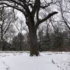 A stone lined area that is common for family photos to be taken here.