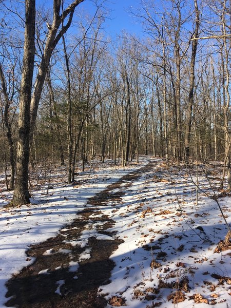 This is what the trail looks like in the winter! December 2019