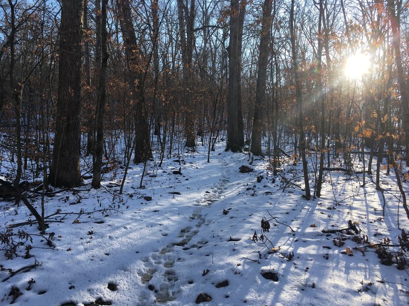 The trail can be a bit trickier to find in snow, of course. Here's an example. If the footprints were not present, things could get dicey.