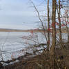 Winterberry holly on the icy shores of the North Glebe Marsh