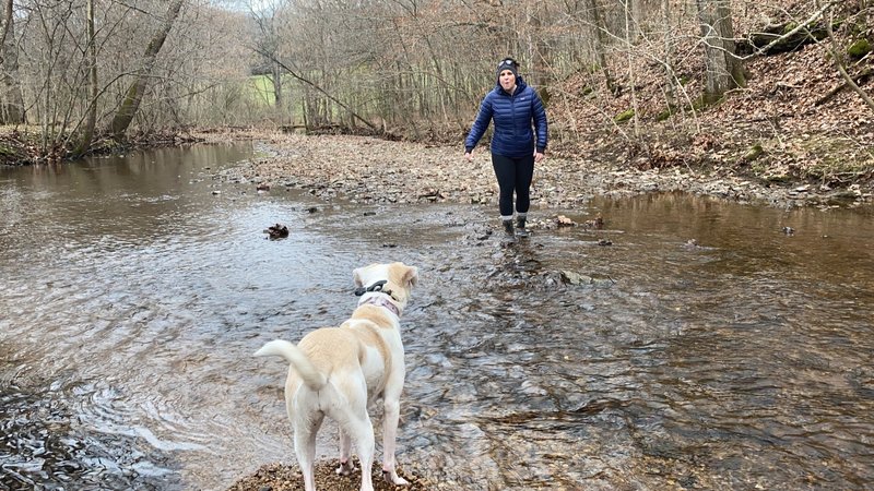 Crossing Garrison creek in the winter when the water is lower.