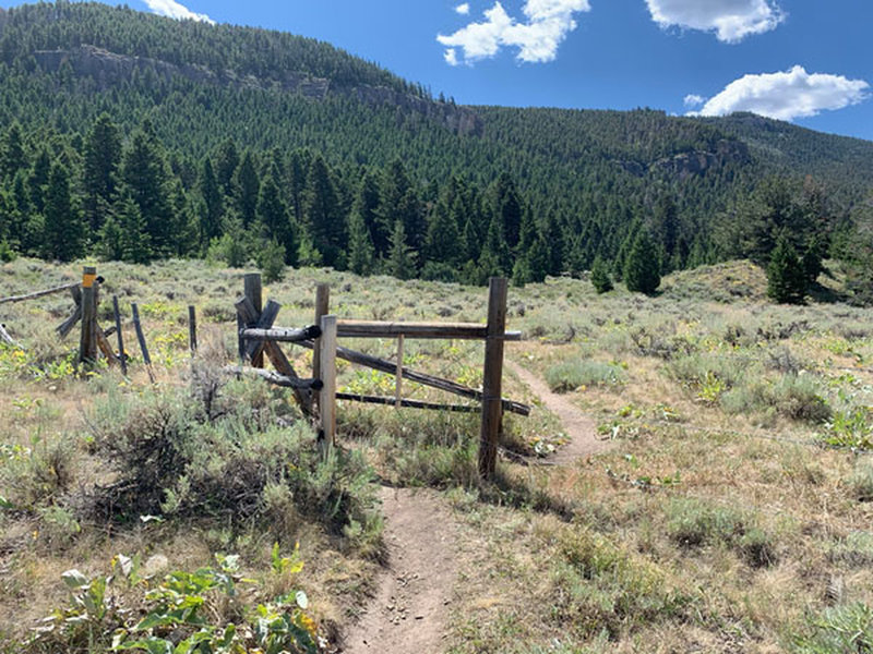 Gap in boundary fence