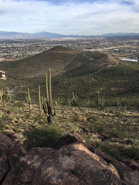 Looking NE from the top