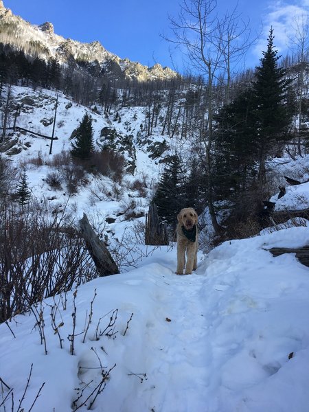 12/23/2019. The trail is no longer packed down at about mile 3, just after crossing pine creek, where this photo was taken.