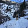 12/23/2019. The trail is no longer packed down at about mile 3, just after crossing pine creek, where this photo was taken.