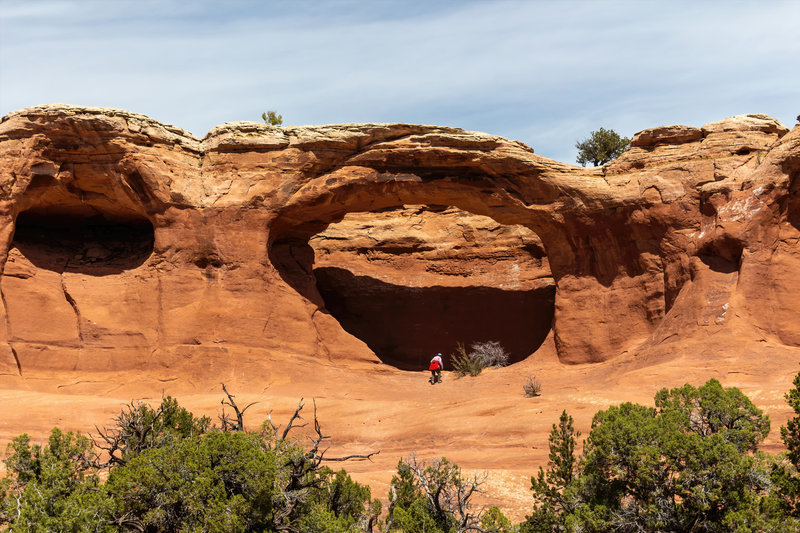 Tapestry Arch