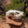 A "skull cairn" on Broken Arch Trail