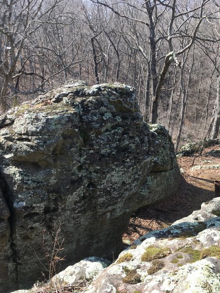 A few fun boulders to play around on. Or to rest on, whichever you prefer!