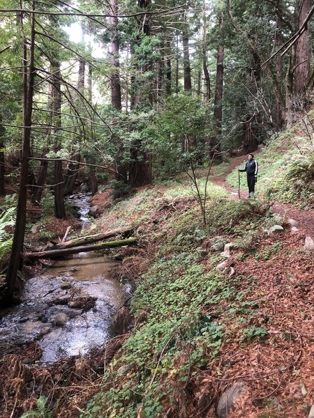 Midway between the parking and the Rocky Trail... Meandering stream that we have to cross many times.