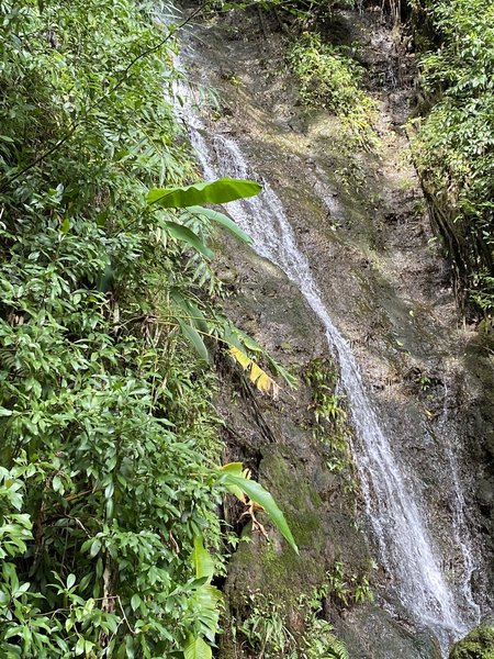 The falls late December