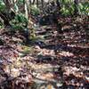 Stone staircase on Great Wall Trail.