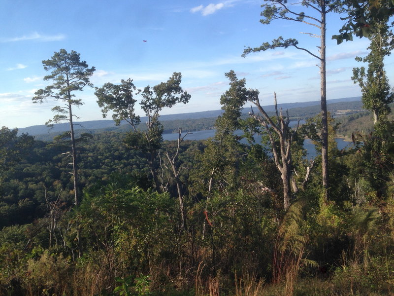 View of Lake Guntersville.