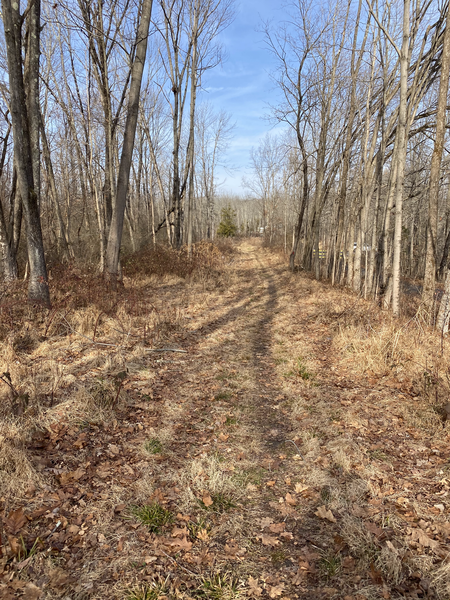 End of Quarry Trail approaching parking