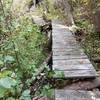 Some of the boardwalk is in need of repair.