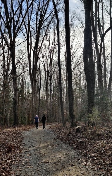 Easy walk for all ages