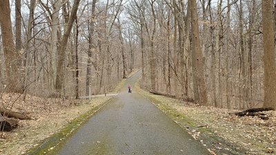 Warbler Road Trail through a mature woods.