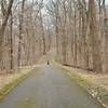 Warbler Road Trail through a mature woods.