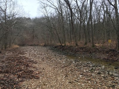 Another shot of the creek bed and bank.