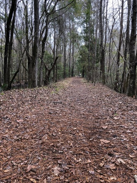 First part of the trail with waterways on both sides.