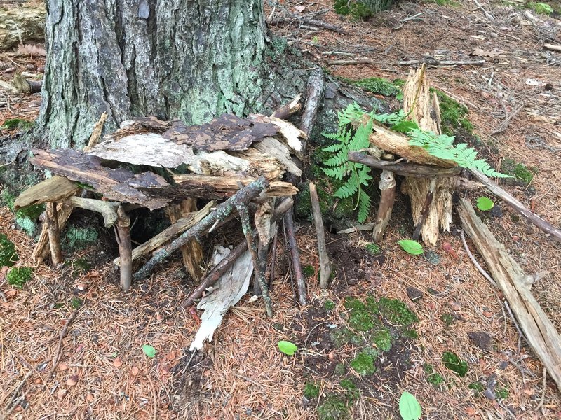 Fairy House alongside trail.