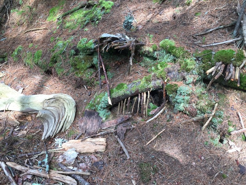 Fairy House alongside trail