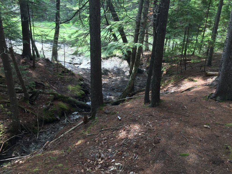 Dry tidal creekbed.