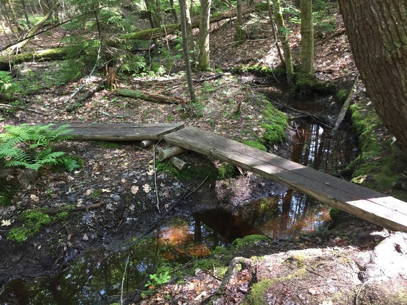 Plank bridge over creek.