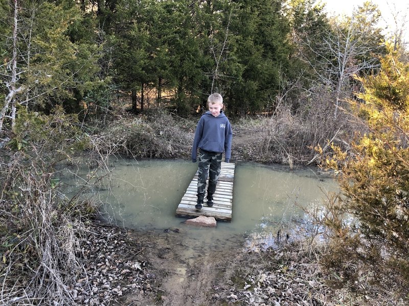 The only ladder bridge over several flooded areas.