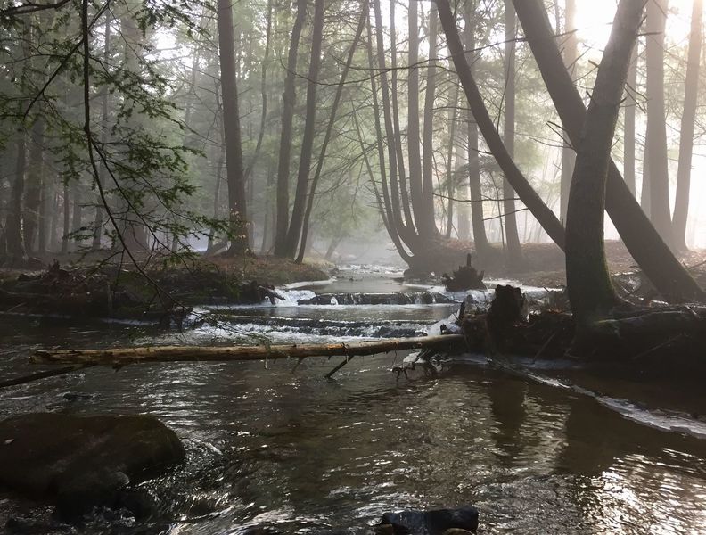 Coon Run from the bridge. Twin Lakes Trail