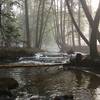 Coon Run from the bridge. Twin Lakes Trail