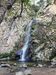 Sturdevant Falls- December 2019- Hooray- WATER!