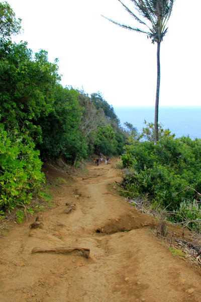 Awini Trail path