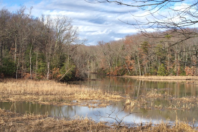 From viewing platform, looking up the marsh.