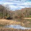 From viewing platform, looking up the marsh.